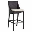 30″ ATHENA BAR STOOL Fashion