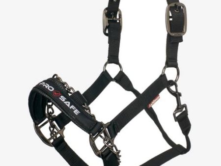 ProSafe Headcollar Halter Black Cob Online now