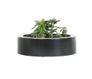 York Low 12″ Round Small Planter Online