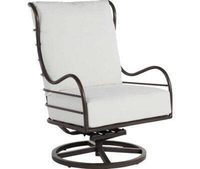 CARMEL ALUMINUM SWIVEL ROCKER For Sale