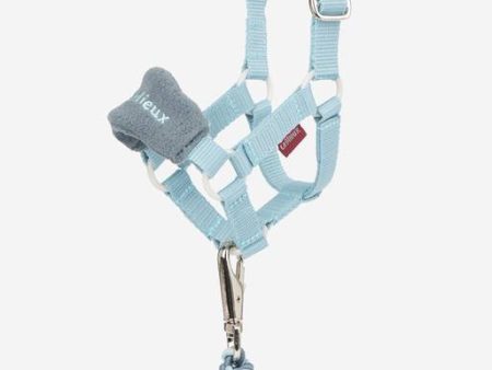 Toy Pony Vogue Headcollar & Leadrope Glacier For Discount