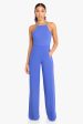 Joaquin Jumpsuit Hot on Sale